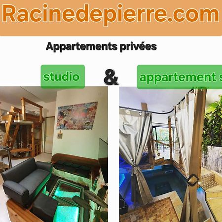 Apartament Racine De Pierre Castres  Zewnętrze zdjęcie